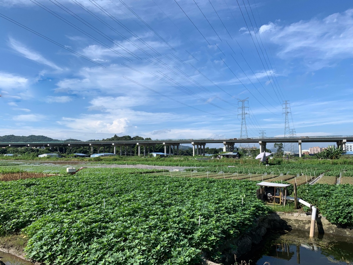 微信圖片_201908220933264.jpg 微信圖片_201908220933264.jpg